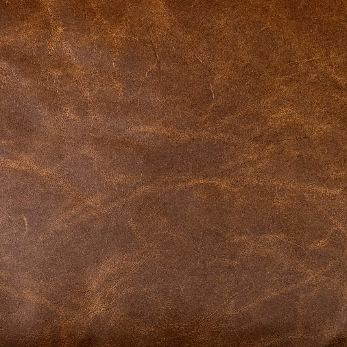 #color_raleigh-chestnut