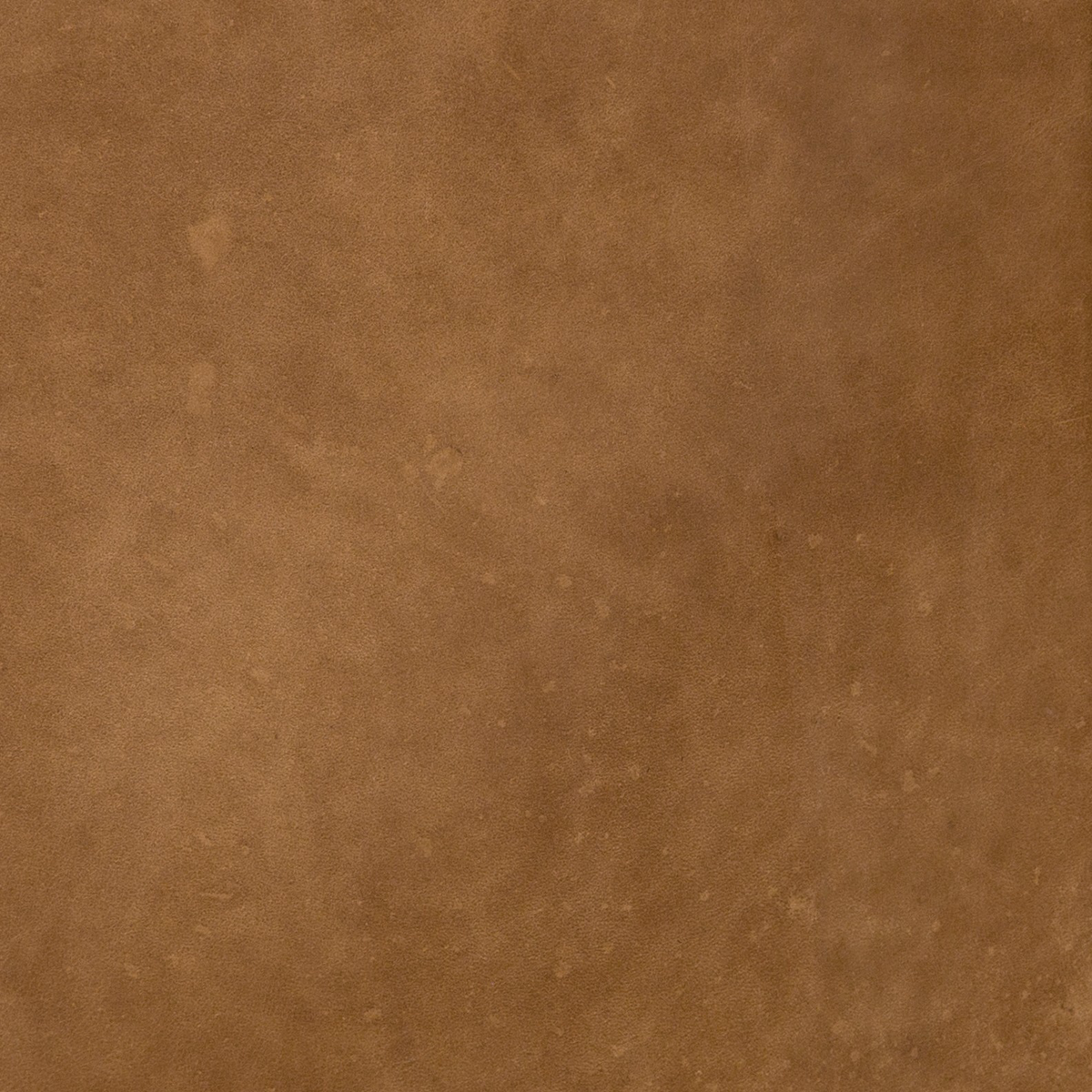 #color_natural-washed-camel