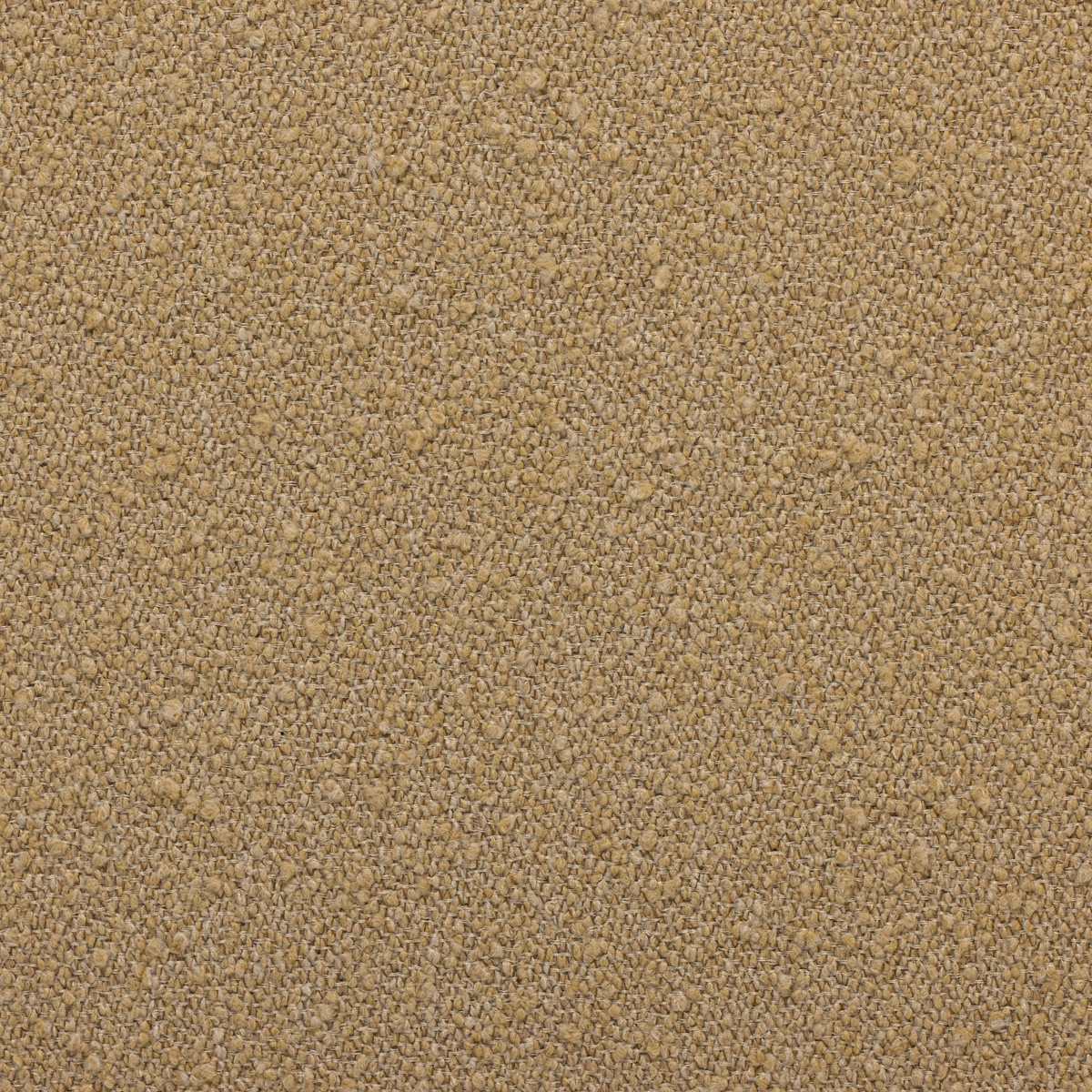 #color_barlow-camel