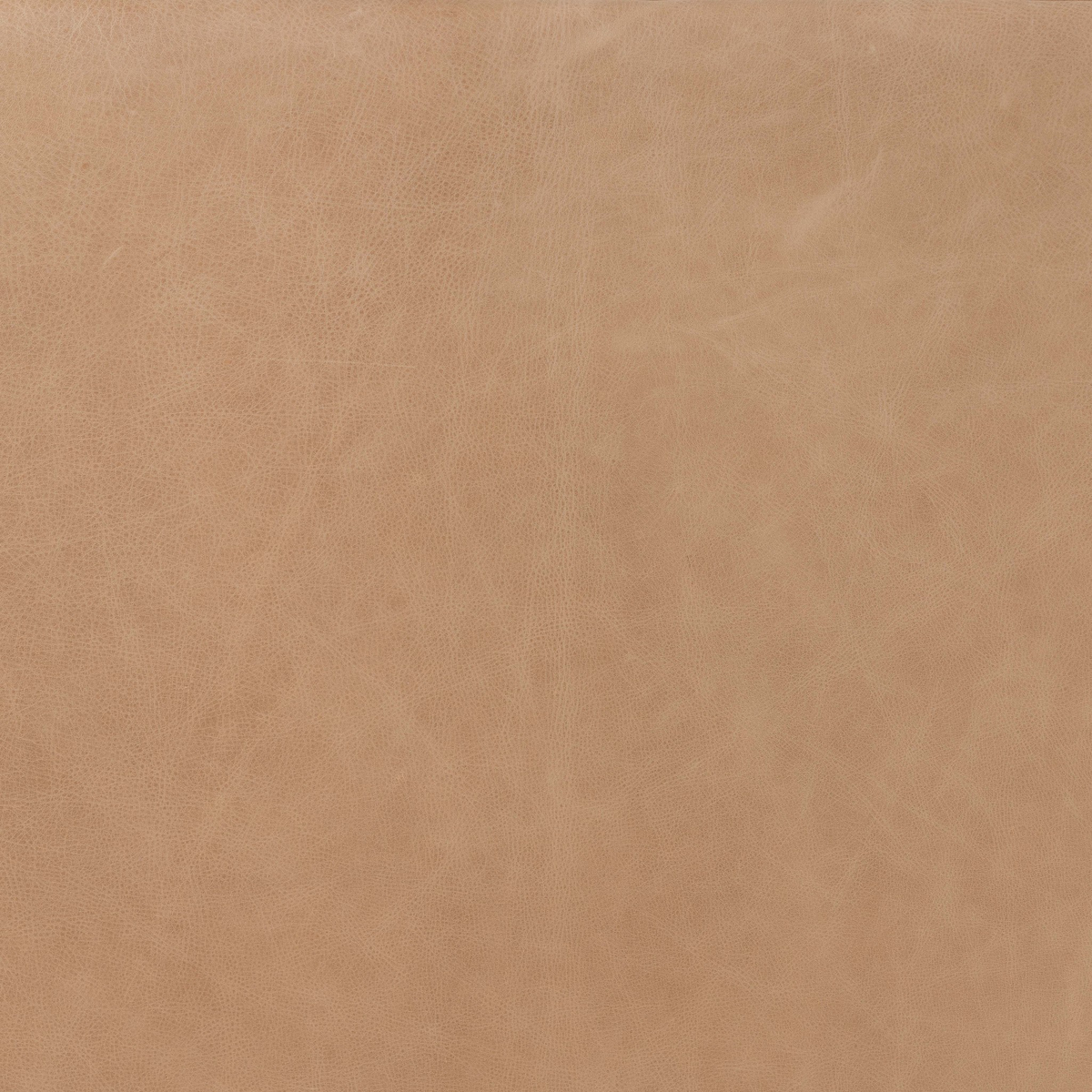#color_palermo-nude