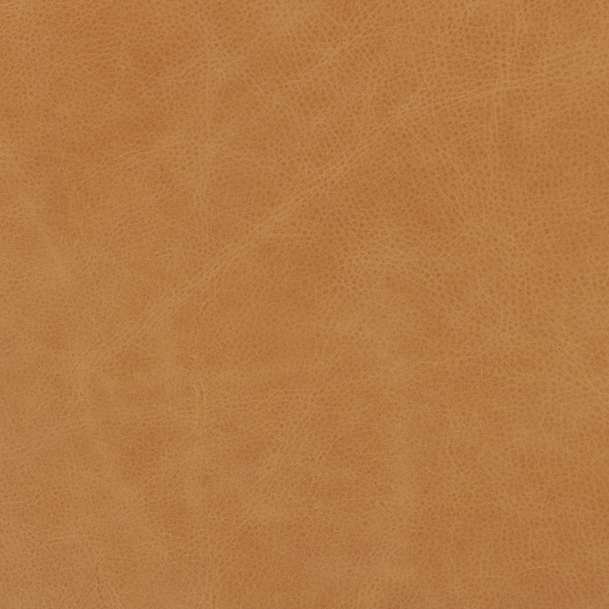 #color_palermo-butterscotch