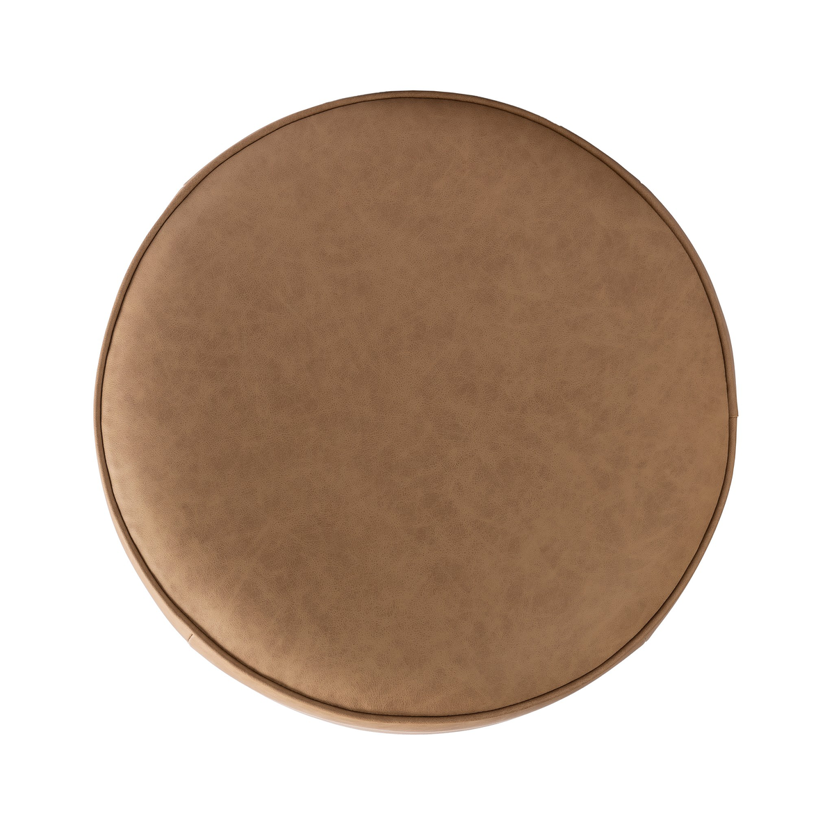 #color_maestro-camel
