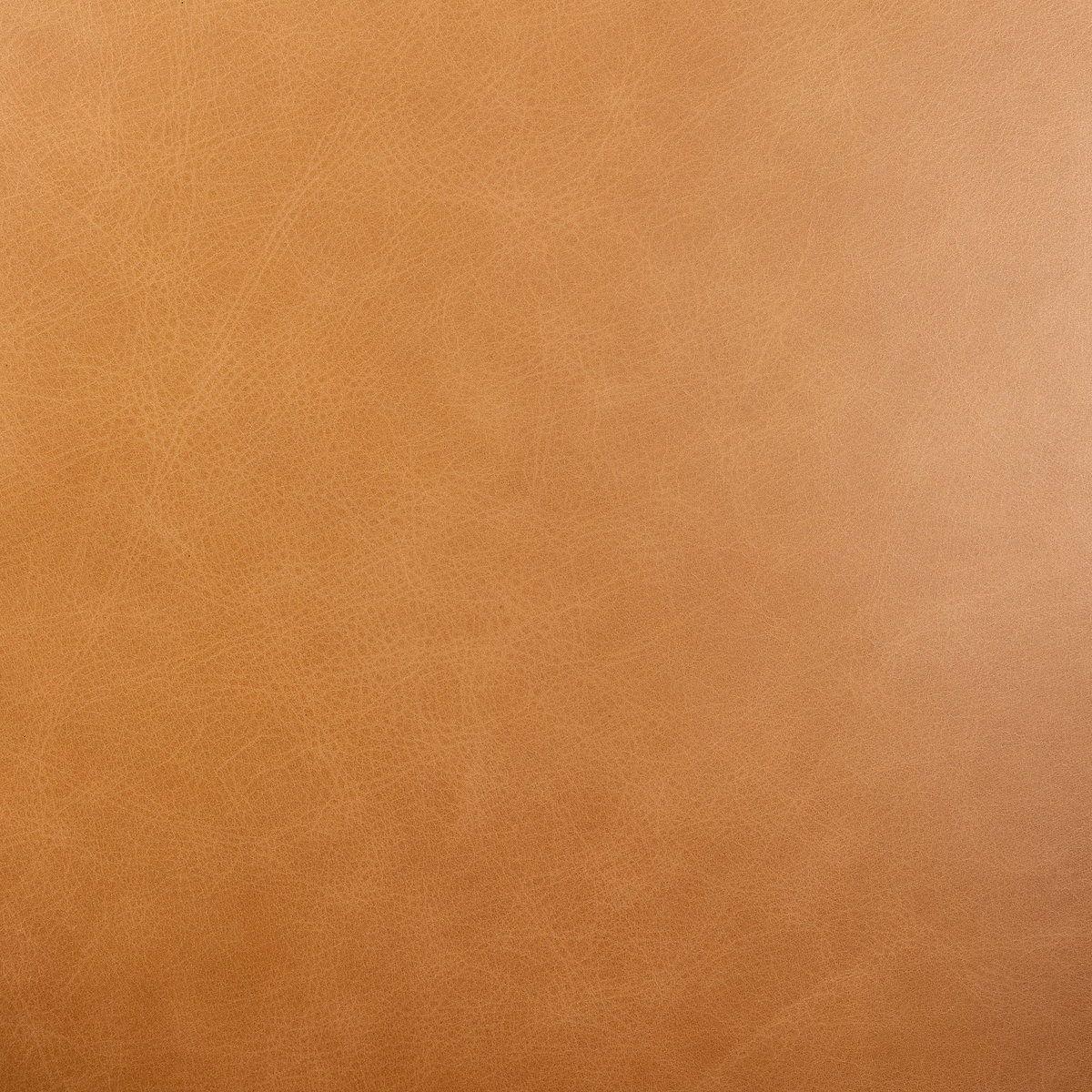 #color_sonoma-butterscotch