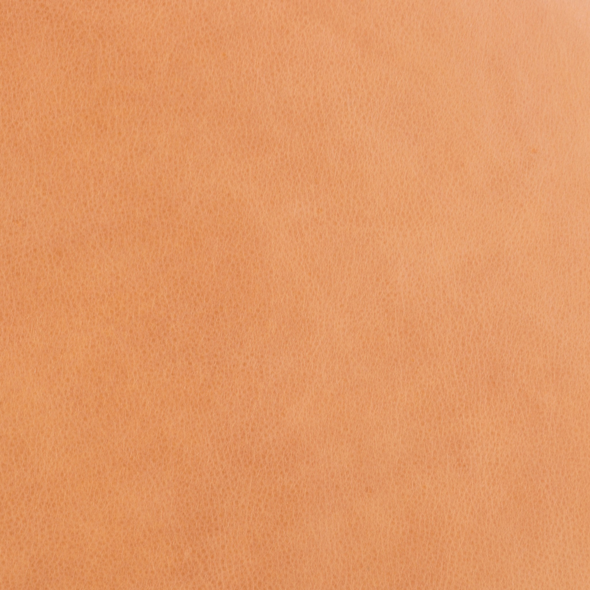 #color_palermo-butterscotch