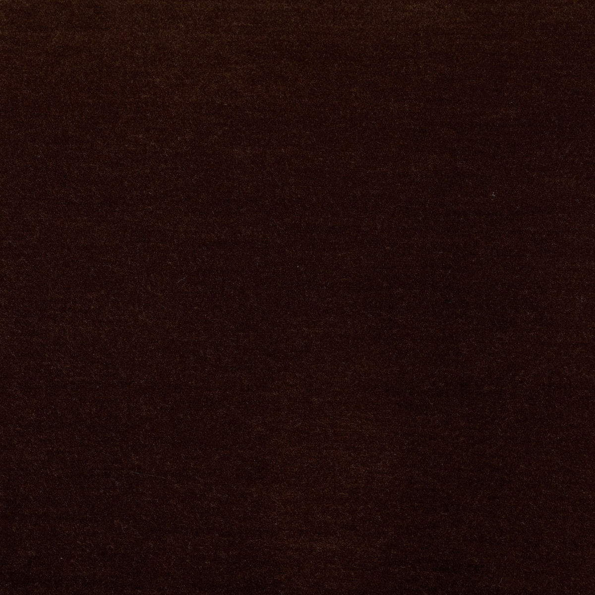 #color_monte-chocolate