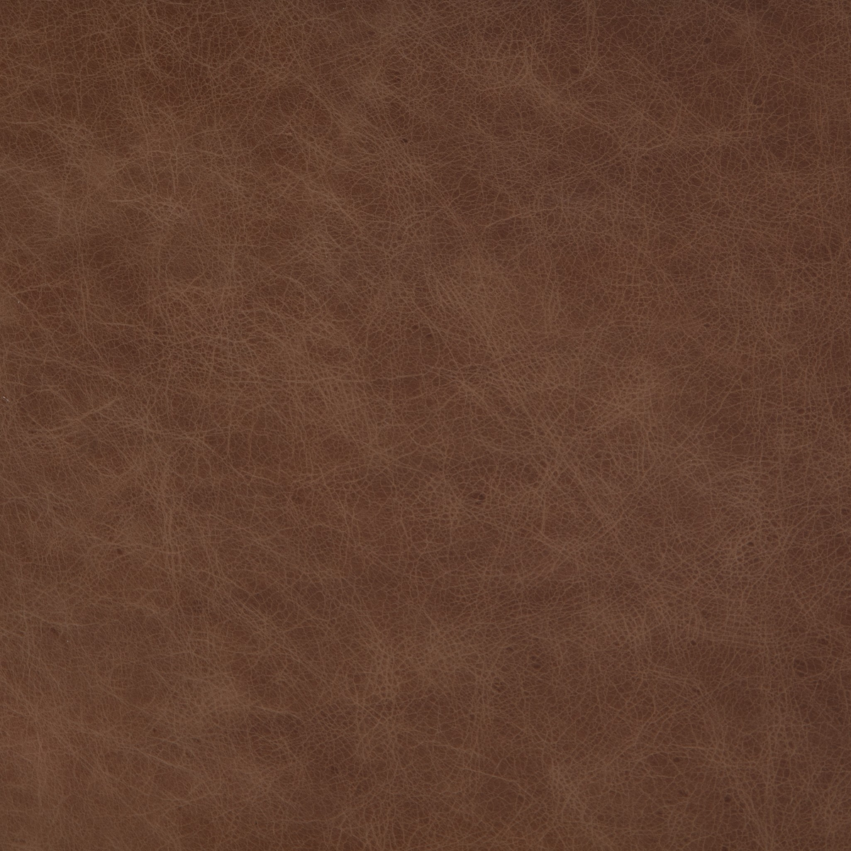 #color_sonoma-chestnut