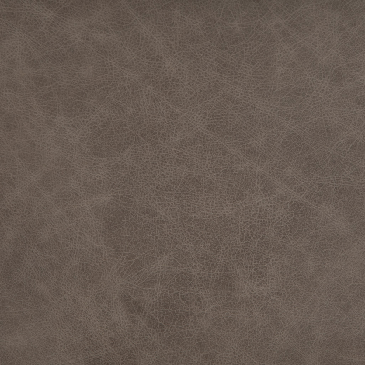 #color_sonoma-grey