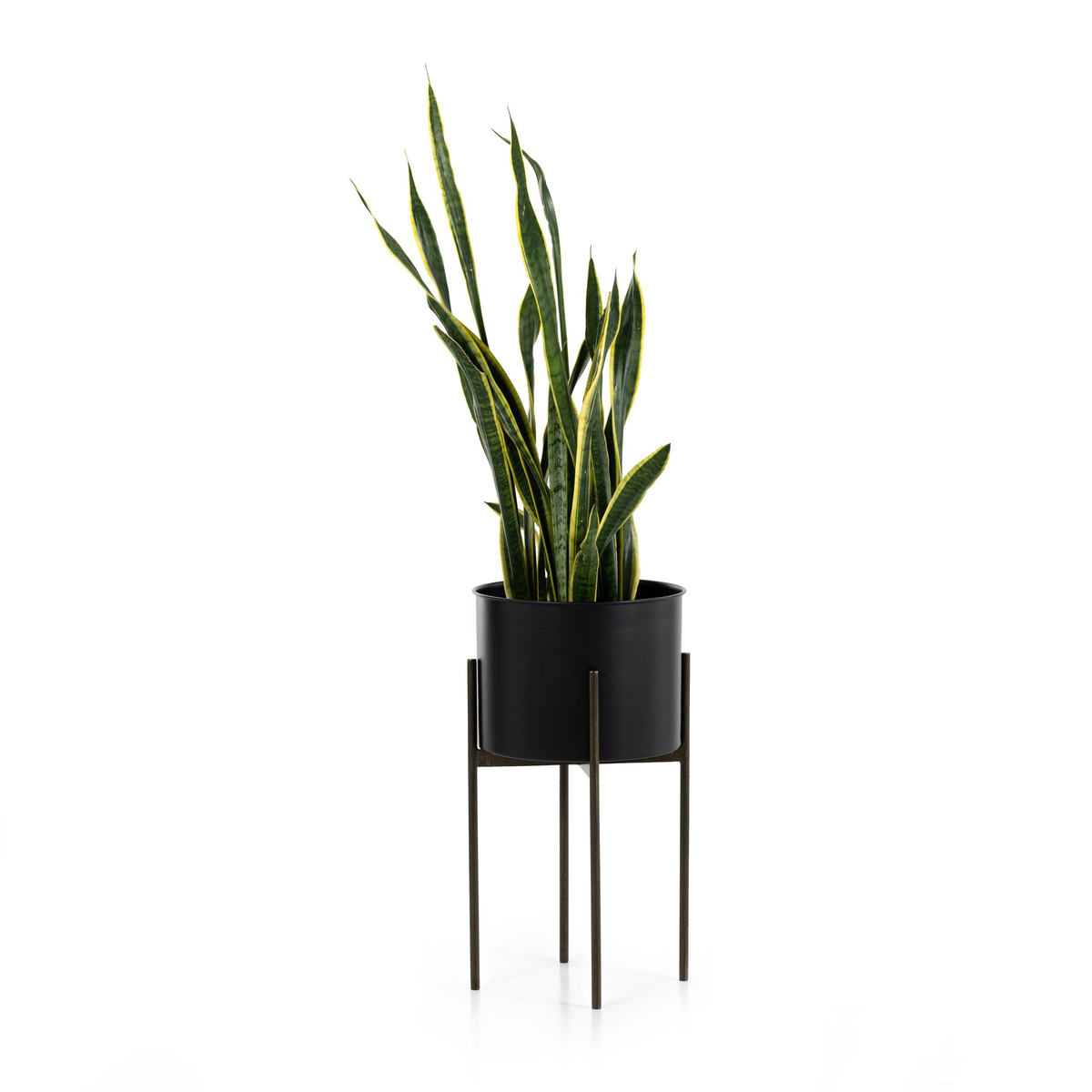 #color_iron-matte-black