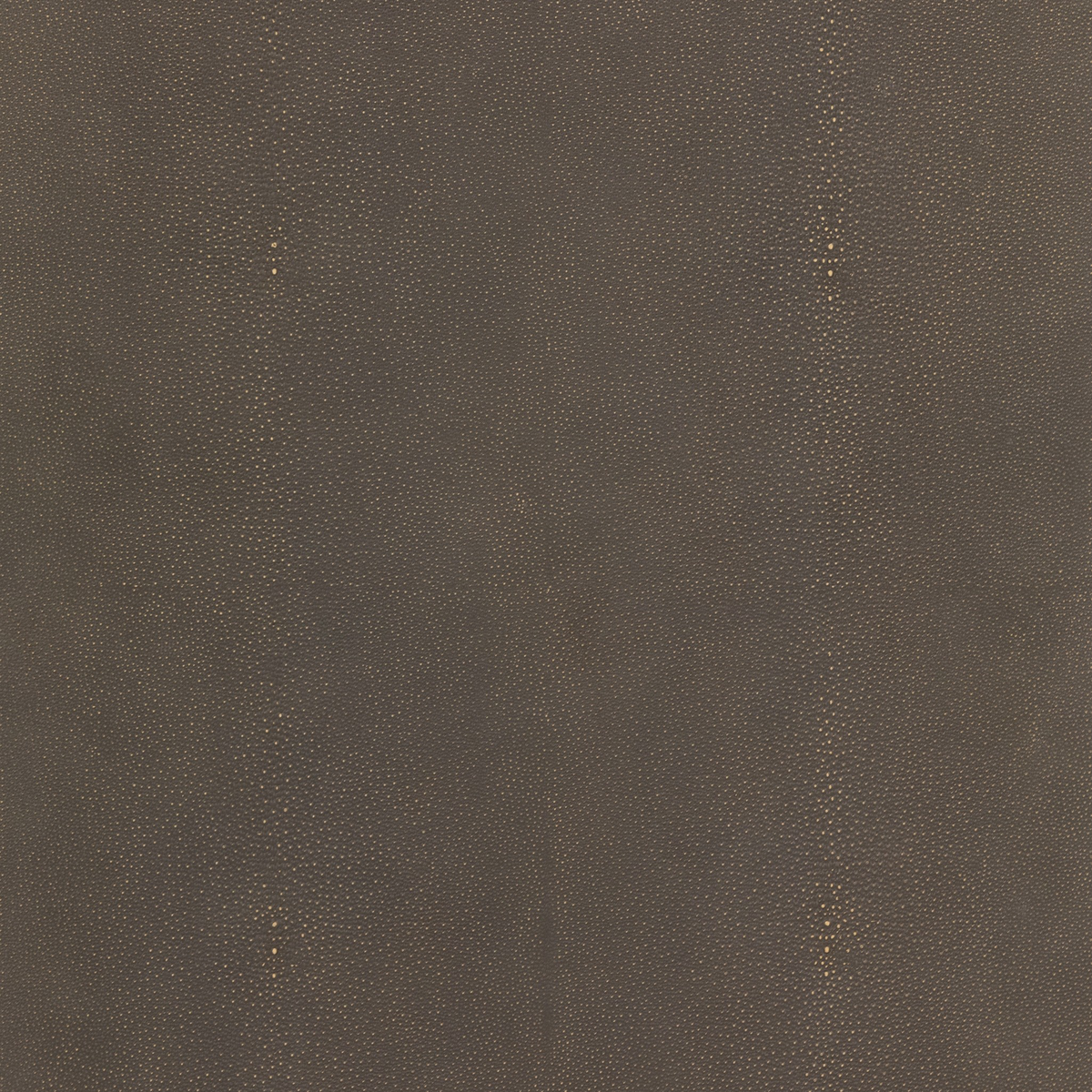 #color_grey-shagreen
