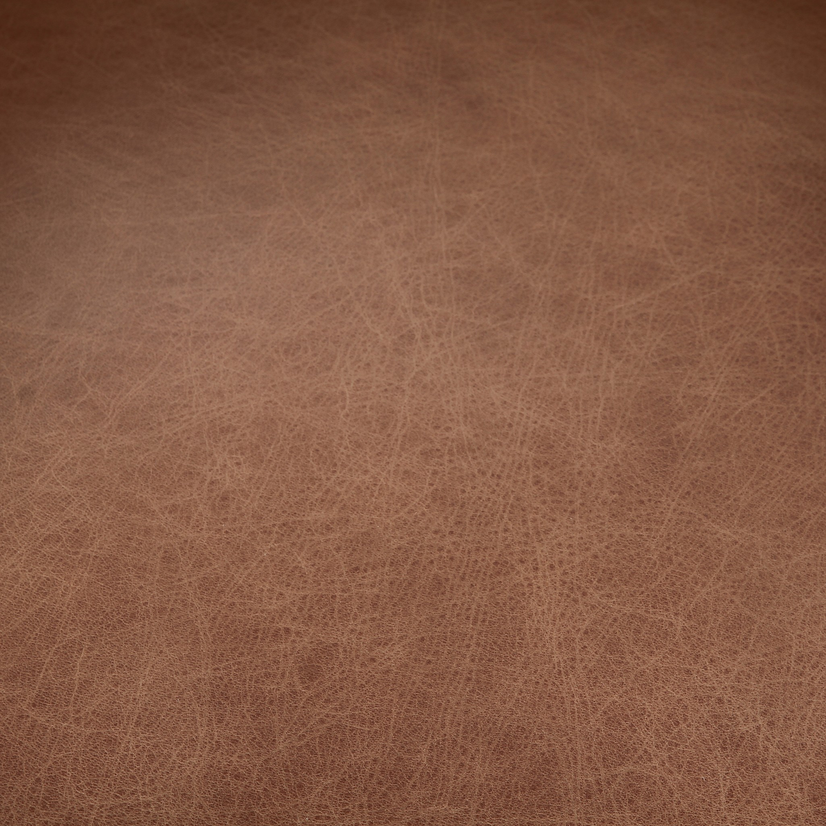 #color_sonoma-chestnut