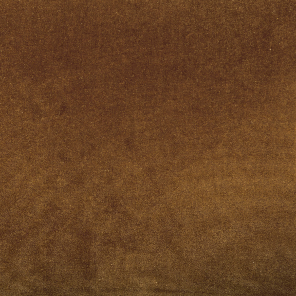 #color_surrey-ochre