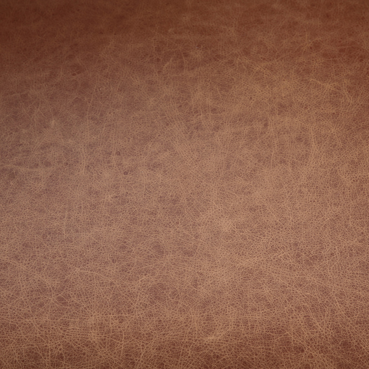 #color_chaps-saddle