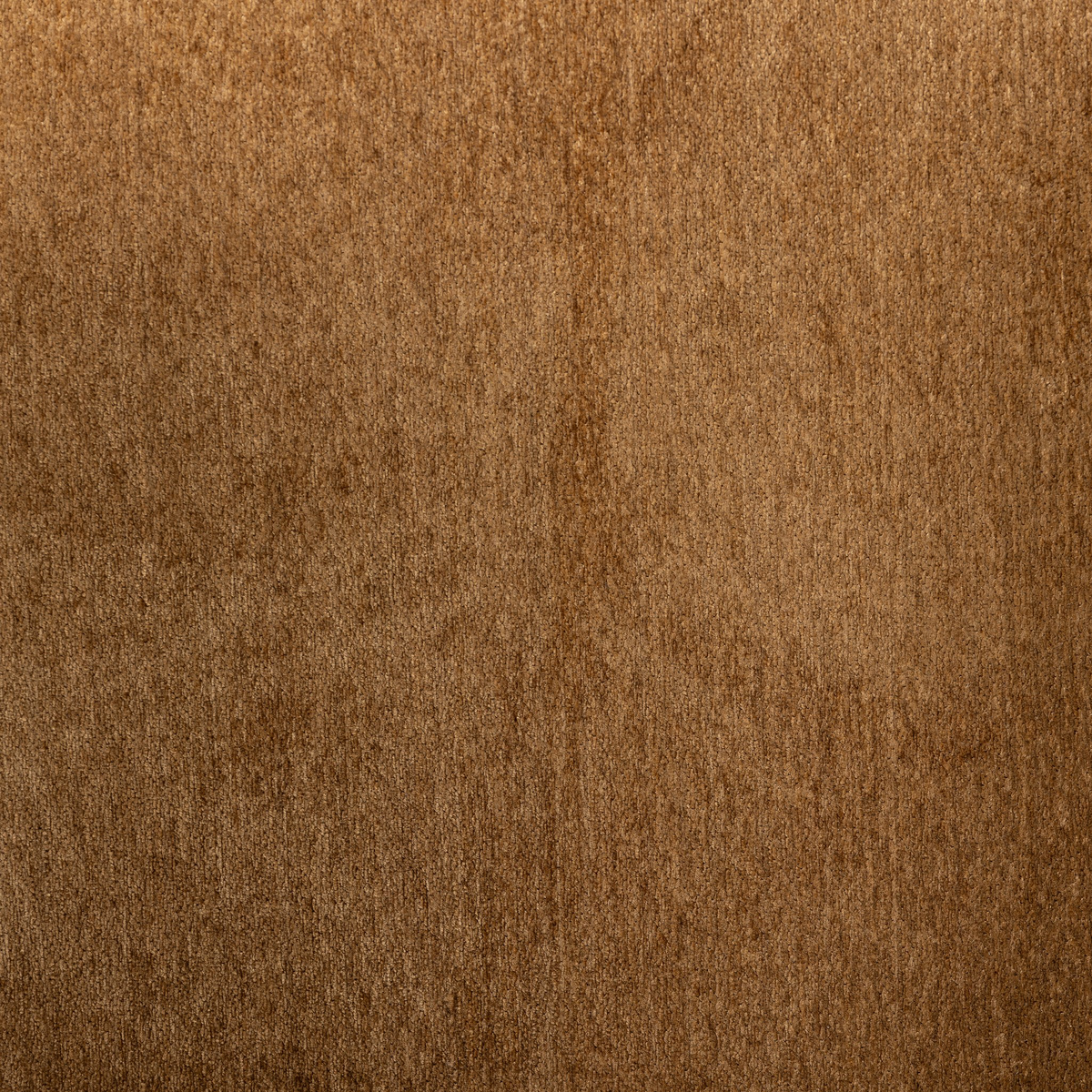 #color_dharma-ochre