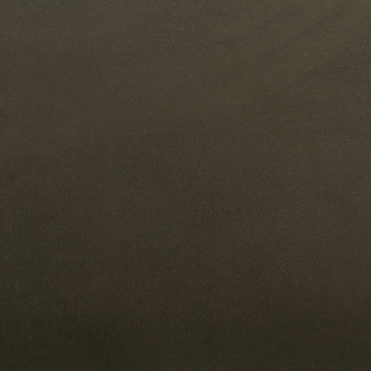 #color_modern-velvet-loden