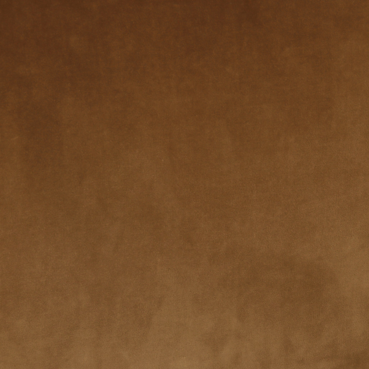 #color_surrey-ochre