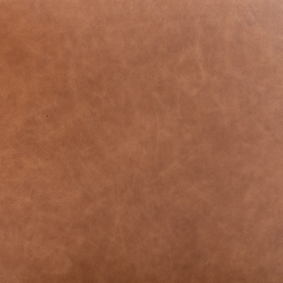 #color_sonoma-chestnut