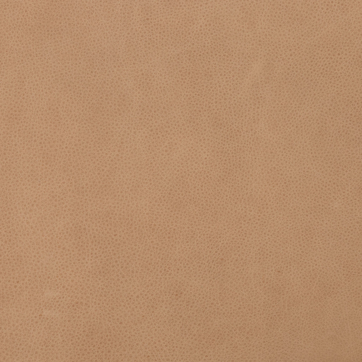 #color_palermo-nude