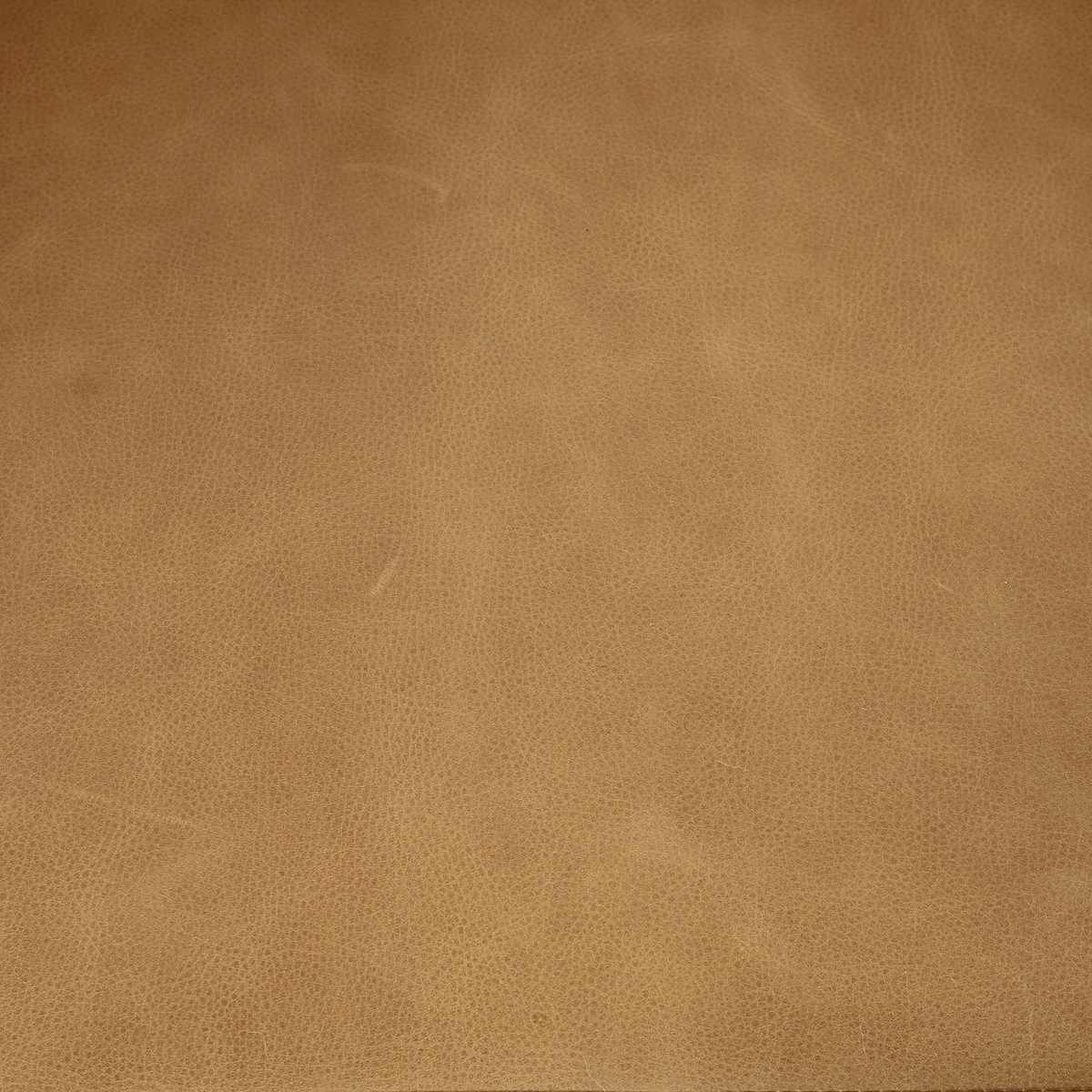 #color_palermo-butterscotch