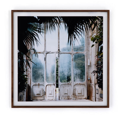 Greenhouse Ii By Annie Spratt by Four Hands
