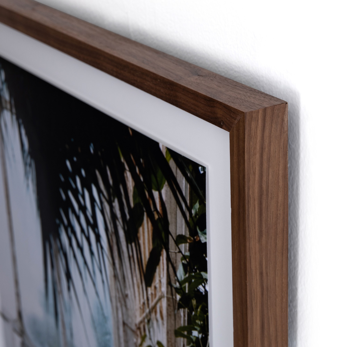#color_walnut-2.5