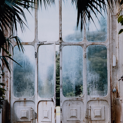 Greenhouse Ii By Annie Spratt by Four Hands