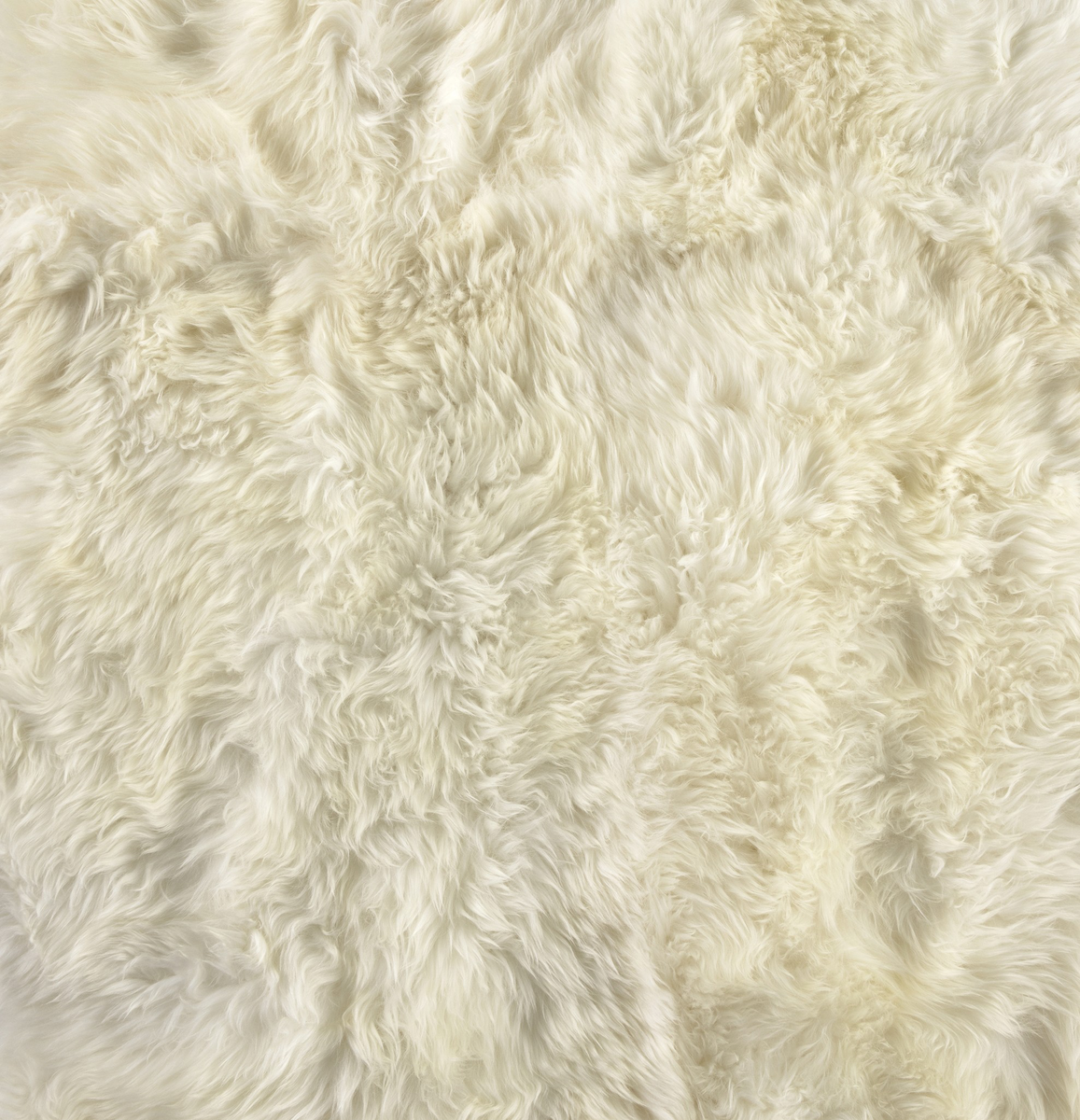 #color_white-lambskin