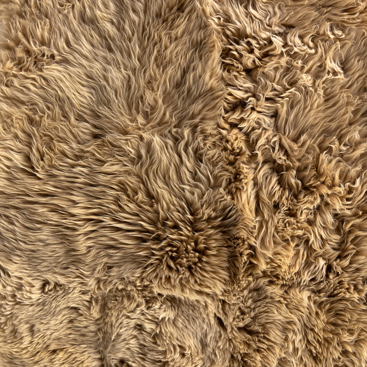 #color_beige-lambskin
