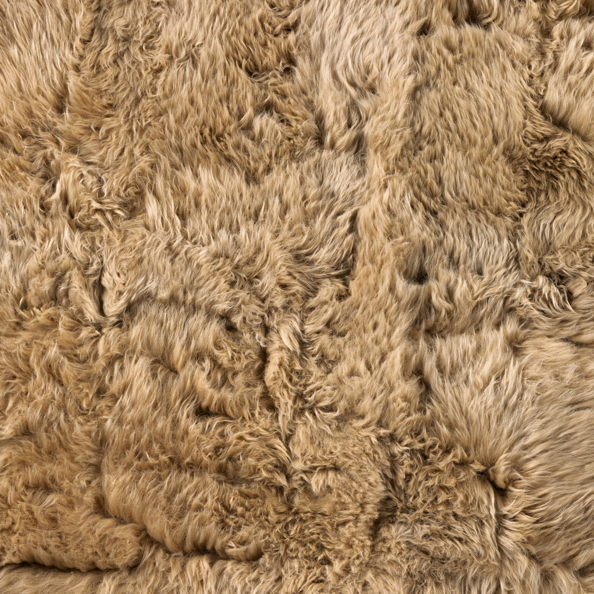 #color_beige-lambskin