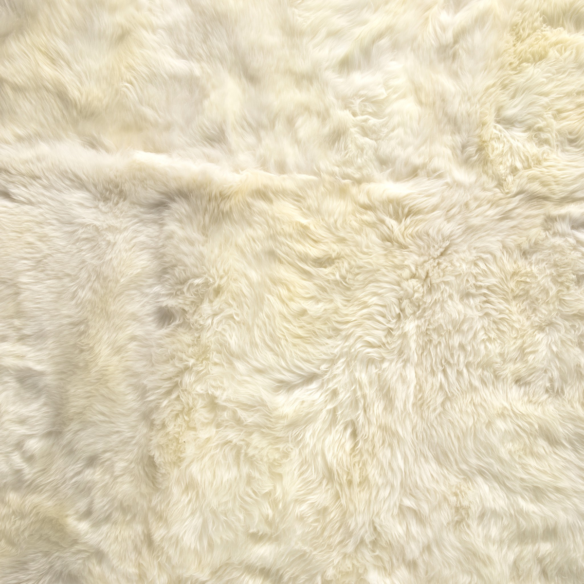 #color_white-lambskin
