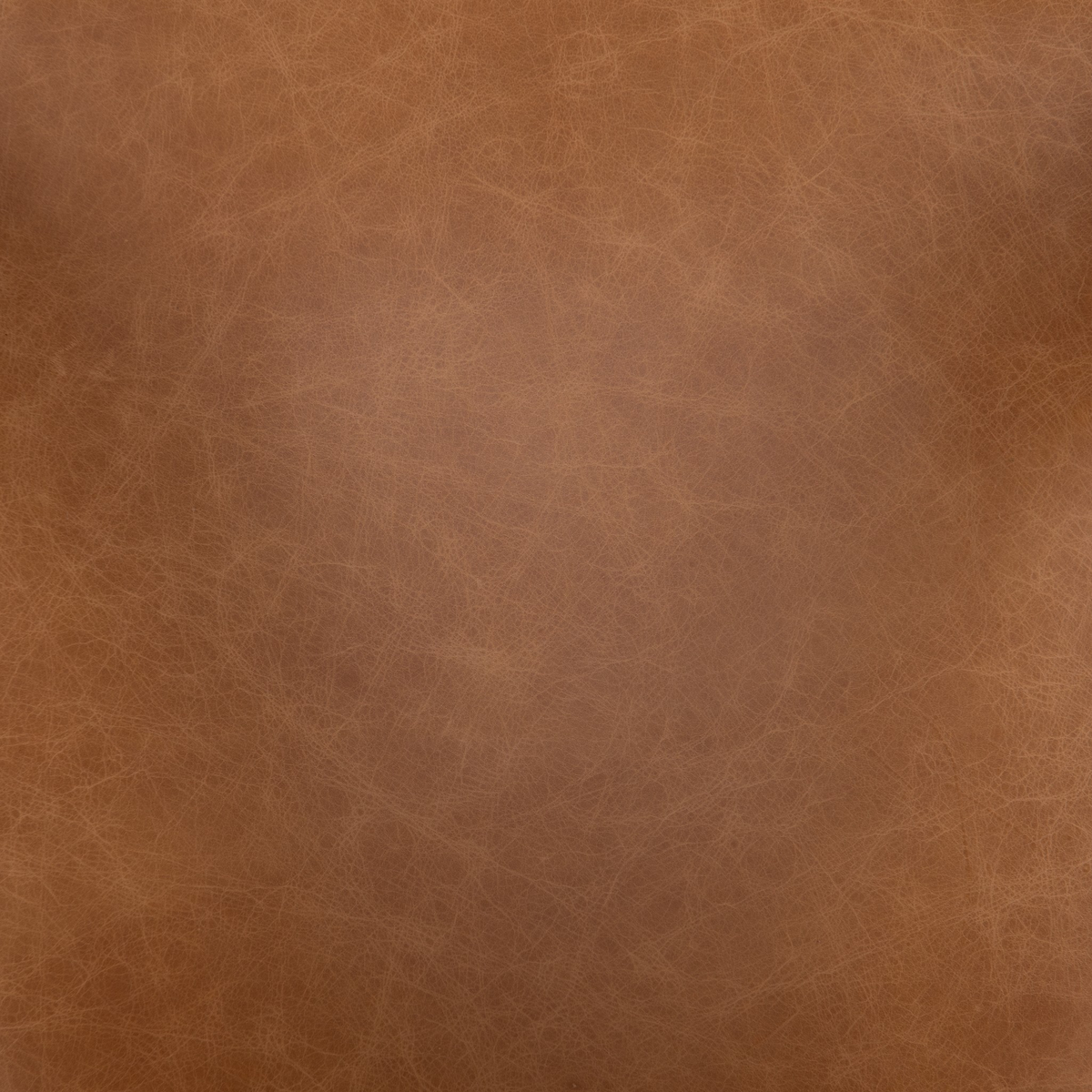 #color_sonoma-butterscotch