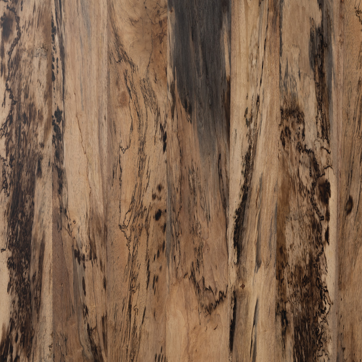 #color_spalted-primavera