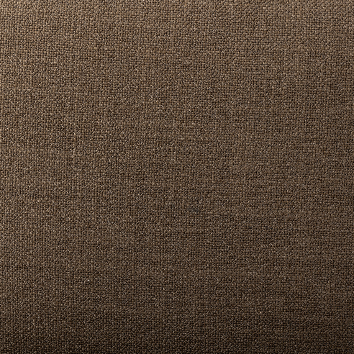 #color_bilton-olive