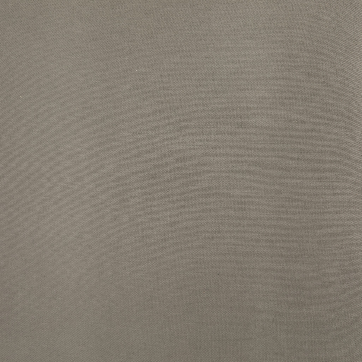 #color_villa-olive