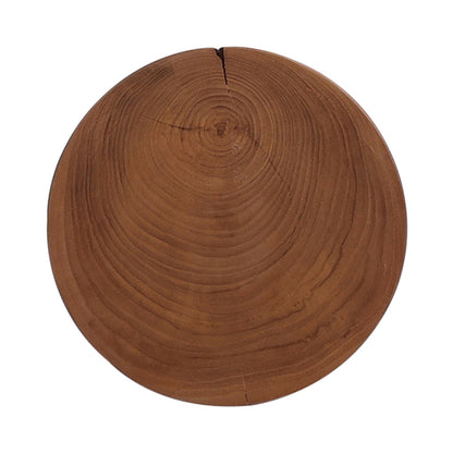 Petros Outdoor End Table