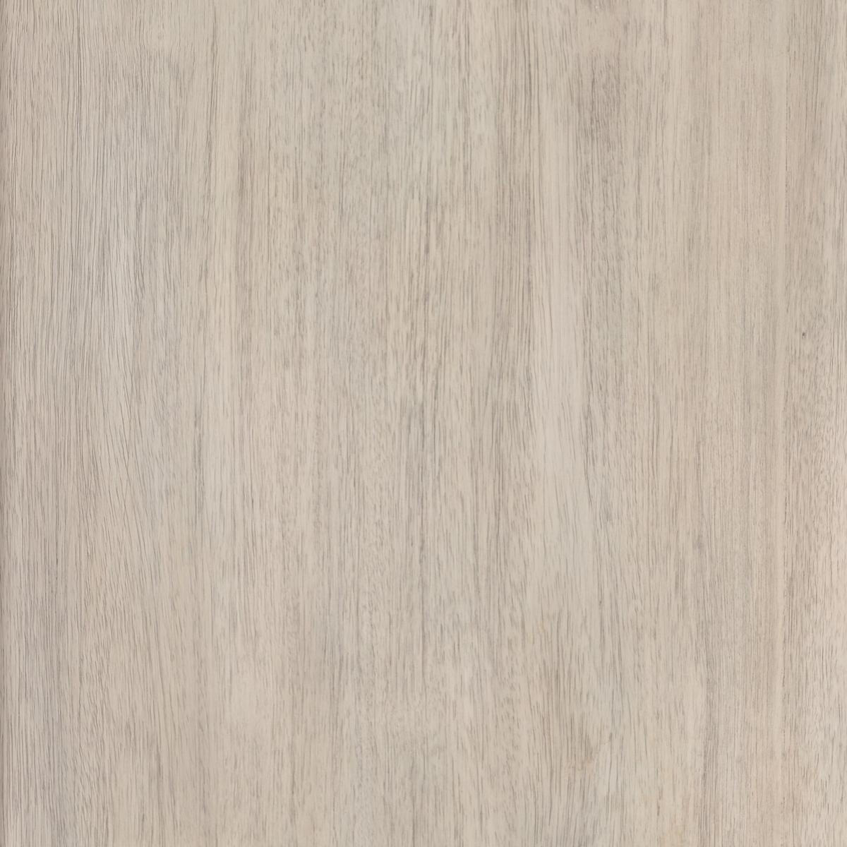 #color_ash-grey