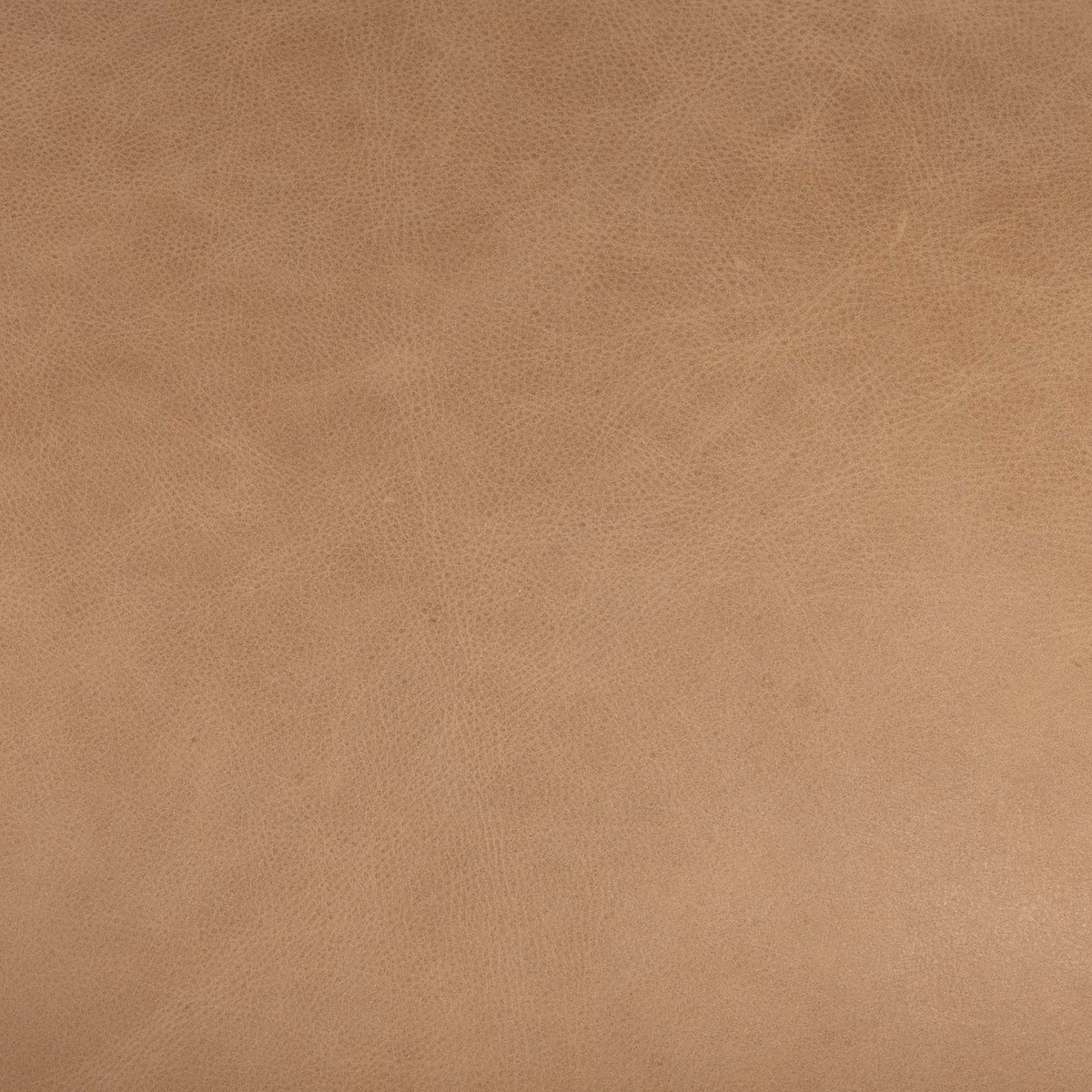 #color_palermo-nude