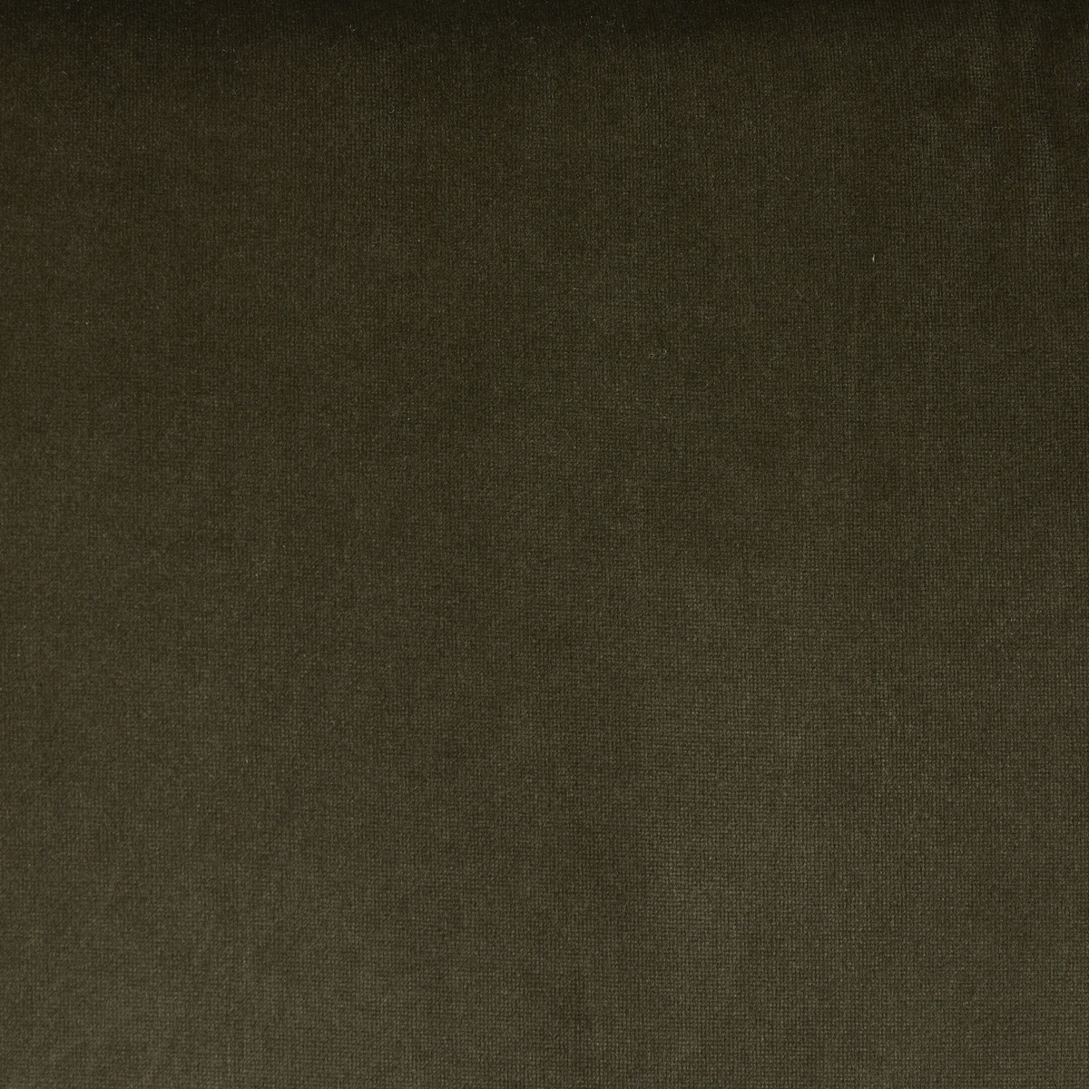 #color_surrey-olive