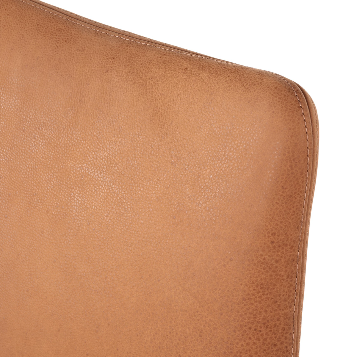 #color_heritage-camel