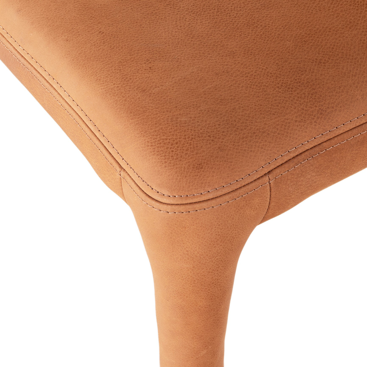 #color_heritage-camel
