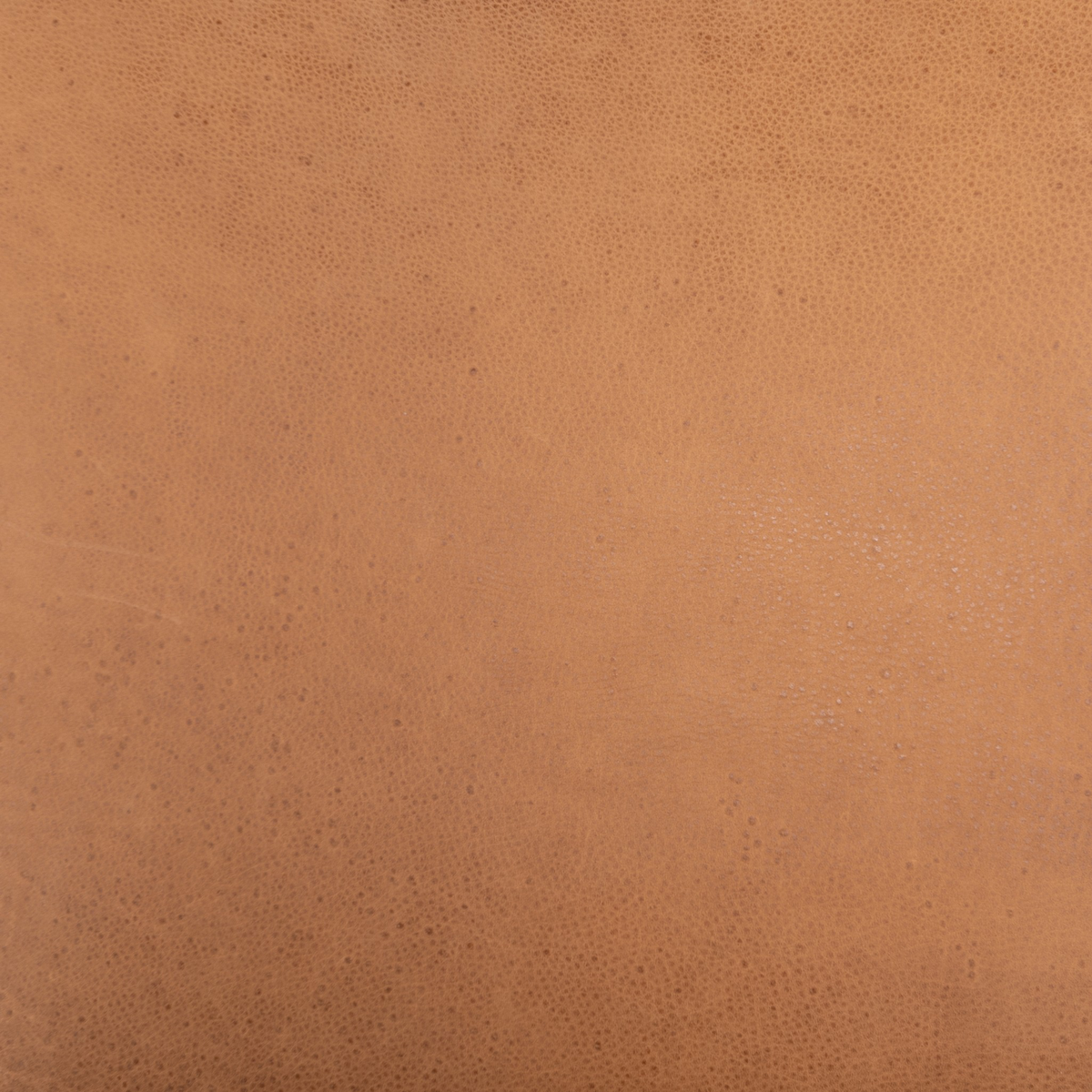 #color_heritage-camel
