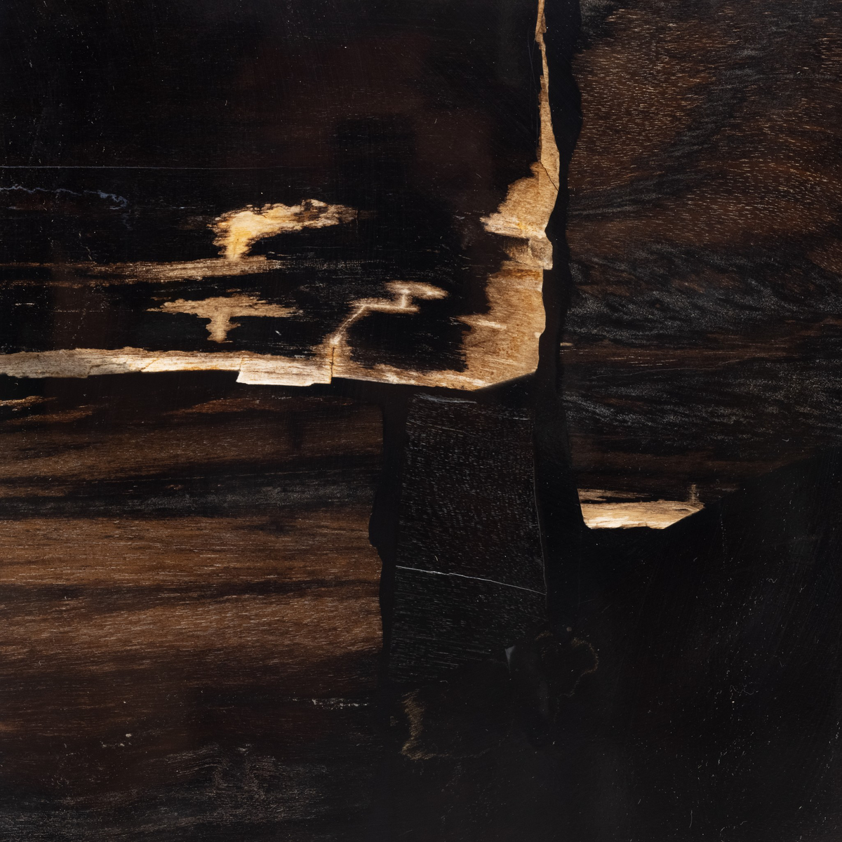 #color_dark-petrified-wood