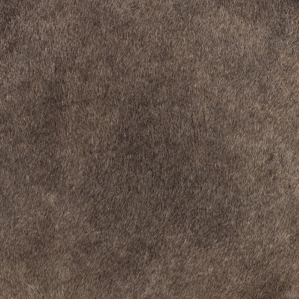 #color_speckled-hide
