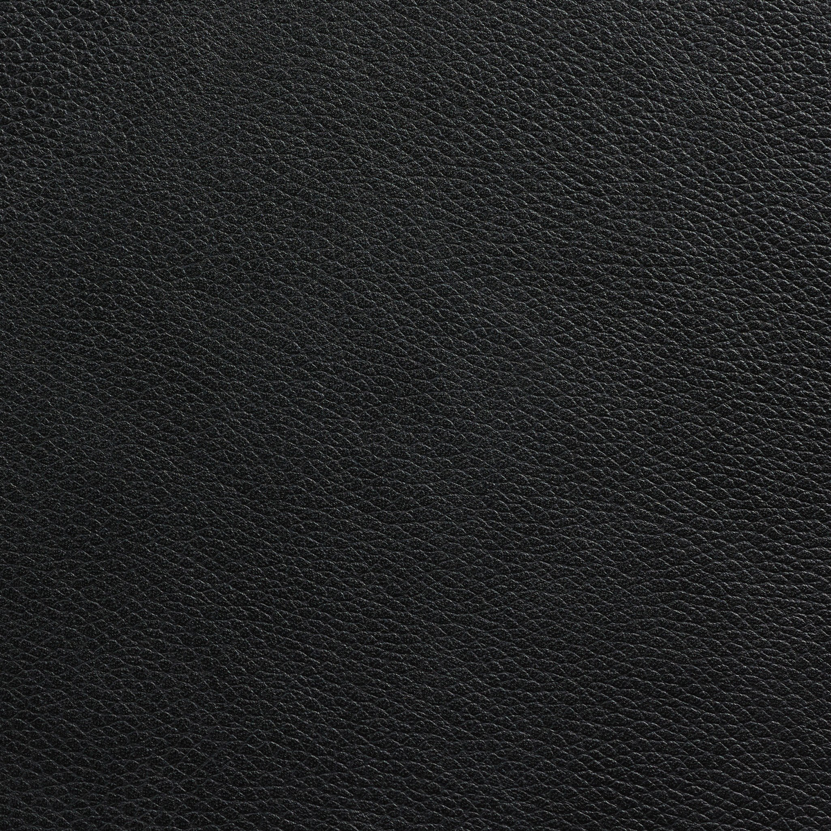 #color_black-leather