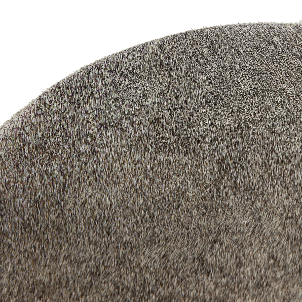#color_black-&-white-speckled-hide