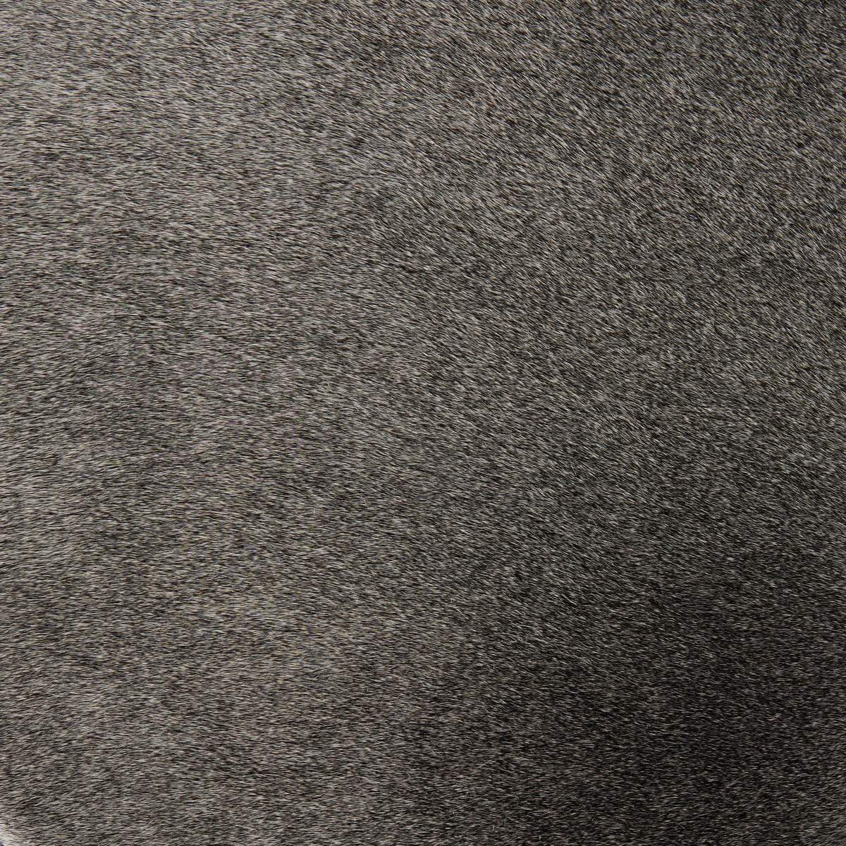 #color_black-&-white-speckled-hide
