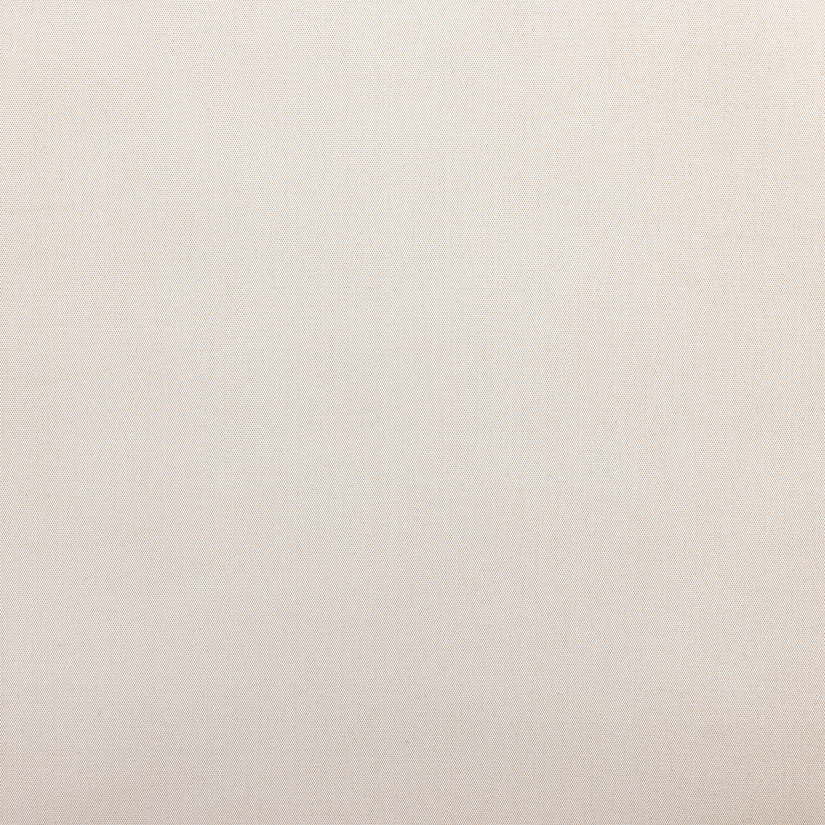 #color_lorel-ivory