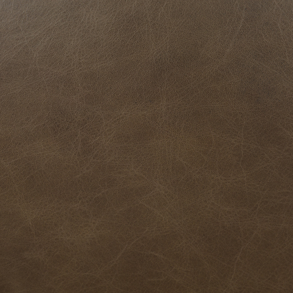 #color_sonoma-olive