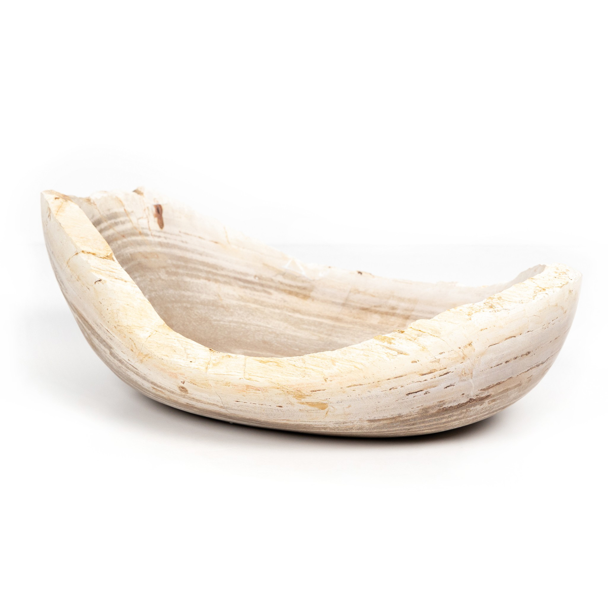 #color_light-petrified-wood