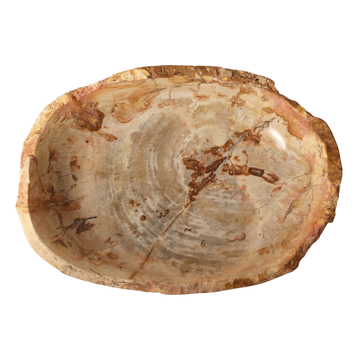#color_light-petrified-wood