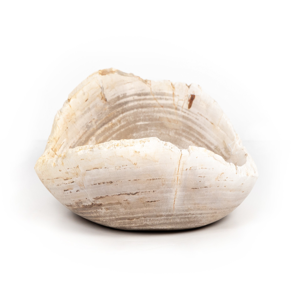#color_light-petrified-wood